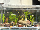 YEE鱼缸金晶超白金鱼裸缸8060家用客厅桌面小草缸龟缸玻璃生态溪流缸 60*30*35【10w过滤器套餐】 实拍图