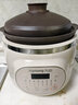 九阳（Joyoung）电炖锅 电炖盅 电砂锅 煲汤锅炖汤锅紫砂锅燕窝炖盅多功能锅煮粥神器 婴儿辅食锅 电煮锅3升 GD517 实拍图
