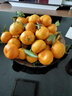 尔蝶广西砂糖橘桔子蜜橘10斤新鲜水果当季薄皮沙糖桔整箱橘子 精选5斤装 净重4.5斤 实拍图