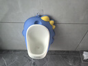 taoqibaby儿童小便器男孩站立式小便池小便斗可挂墙宝宝尿尿神器马桶坐便器 实拍图