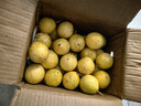 鲜青录广西黄金百香果钦蜜9号新鲜水果黄色白香果西番莲鸡蛋果 划算5斤中果（单果60-70g） 实拍图
