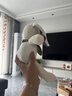 澳贝（auby）婴幼儿毛绒玩具兔子花伴玩偶毛绒手偶安抚哄睡陪伴宝宝新生儿礼物 实拍图