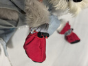 憨憨乐园宠物外出遛狗狗鞋防滑防水雨鞋泰迪比熊小型犬耐磨靴子鞋子脚套4 实拍图