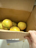福建平和黄金爆汁葡萄柚新鲜树熟应季水果清甜多汁柚子 8.5斤 实拍图