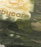 babycare金山茶花拉拉裤XXL30片(>15kg)婴儿尿不湿超薄透气新生柔花苞裤 实拍图