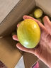 黄金百香果钦蜜9号大果孕妇新鲜当季鲜果妃多多 钦密9号百香果60-70g 整箱4.5斤 爆甜【产地直发】越皱越甜 实拍图
