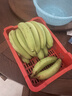 广东超甜香蕉青香蕉发货放熟吃雯婷新鲜水果 净重5斤礼盒装 实拍图
