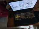 华硕（ASUS）天选2/3 二手笔记本 飞行堡垒 15.6寸高性能独显电竞吃鸡游戏本电脑 95新 R7-4800H GTX1660TI天选 实拍图