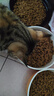 艾尔艾尔猫粮5斤500g*5包鱼味牛肉味成猫幼猫1-4月折耳美短英短猫主粮 混装猫粮500g*5袋（共5斤） 实拍图