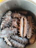 海晏堂 大连淡干海参 50g 12-18只 辽刺参 海参干货海鲜 实拍图