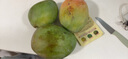 玖原农珍 四川攀枝花凯特芒果净果4.5斤优选芒果200g+ 当季新鲜水果 实拍图