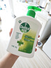 滴露（Dettol）洗手液松木500g瓶 健康抑菌消毒非补充装 儿童家庭用清爽去油 实拍图