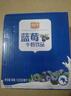 风行牛奶 蓝莓风味牛奶饮品 200ml*12盒 牛奶礼盒装 送礼佳品 实拍图