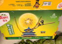 佳沛（zespri）新西兰  阳光金奇异果18粒超大果原箱单果重约173-204g 猕猴桃 实拍图