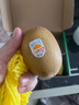 佳沛（zespri）新西兰阳光金果6个装巨大果单果144-175g水果猕猴桃源头直发 实拍图