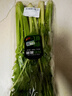 【有机】芹菜（西芹）400g 实拍图