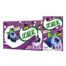 伊利优酸乳蓝莓味250ml*24盒/箱乳饮料 牛奶饮品 礼盒装 实拍图