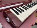 雅马哈（YAMAHA）口风琴P37D专业37键小学生初学儿童教学成人专业演奏32键口吹琴 37键红色P-37D 实拍图