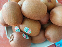 佳沛（zespri）新西兰  阳光金奇异果16粒礼盒经典果单果约 77-103g 水果 猕猴桃 实拍图