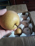 【今年新果】正宗新鲜丰水梨冰糖脆甜薄皮水果非秋月梨沐驰 丰水梨带箱5斤 实拍图