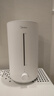 美的（Midea）加湿器空气净化器一体鼻炎家用卧室超大雾量取暖补水静音除菌小型工业喷雾雾化器礼物国家补贴3VWL 实拍图