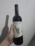 CANIS FAMILIARIS布多格意大利原瓶进口红酒 西拉干红葡萄酒 750ml 单瓶装 实拍图