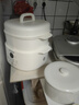 九阳（Joyoung）电炖盅 电炖锅 隔水炖煮 家用煮粥煲汤锅燕窝炖盅4.5L白瓷内胆炖汤锅上蒸下炖DG25G-GD188 实拍图