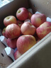 蔬农联水果 当季时令苹果礼盒 生鲜水果 山东烟台栖霞红富士苹果 10斤一级大果80-85mm净重8.5斤+ 实拍图