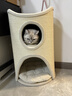 兽牌树洞剑麻桶猫窝猫抓板一体剑麻猫爬架双层大猫屋半封闭式冬季保暖 燕麦奶白丨三层剑麻桶 实拍图