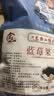 天源吉业 东北无糖油添加蓝莓果干独立包装 长白山特产大果粒儿童零食 【试吃】纯蓝莓果干净重200g 实拍图