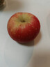 京鲜生 陕西洛川苹果红富士  净重5斤  单果200g+ 生鲜水果 实拍图