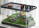 阔庭（KUOTING）鱼缸桌面透明生态鱼缸客厅水族箱黑色 实拍图