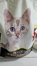 冠能猫粮 成猫猫粮鸡肉味10kg 全价猫粮 稳固免疫【宠物金选】 实拍图