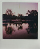 宝丽来（Polaroid）拍立得相纸 i-Type彩色胶片 复古拍立得相纸 适用于NOW/NOW+/I-2/Flip/Lab机型 白框彩色（三包24张） 6272 适用于i-type机型 实拍图