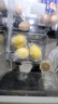 京鲜生 安岳黄柠檬 4粒 单果95g起 生鲜水果 实拍图