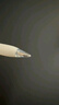 HUAWEI M-Pencil （第三代）华为手写笔 星闪技术超低时延 雪域白  实拍图