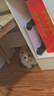 萌宠兄弟宠物耳朵精油棉签猫咪狗狗掏耳屎耳道去耳螨抑菌止痒除臭清洁棉棒 实拍图