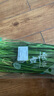 绿色韭菜250g 实拍图