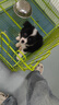 憨憨宠 狗笼猫笼 狗笼子小型犬带厕所幼犬折叠便携猫笼子宠物笼具兔笼 【精品真加粗】狗丝 85*61*71cm 实拍图