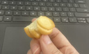 麦酥园 馍香远洋纯碱烤馍山西特产养胃烤馍片干丁休闲零食品早餐面包2斤 实拍图