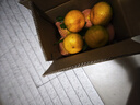 佳沛（zespri）新西兰   阳光金奇异果 8个装 超大果单果重约173-204g 猕猴桃 实拍图