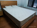 龙凤床垫家用卧室乳胶分区独立弹簧席梦思1.8x2米记忆棉环保椰棕护脊床垫 净享F型25cm:正面偏软反面硬 1500*2000 实拍图