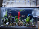 森森（SUNSUN）耀蓝造浪泵鱼缸水族箱冲浪泵造流吹粪便吹鱼便 【森森·耀蓝】吸盘款3W 适合50-60鱼缸 实拍图