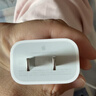 Apple/苹果 20W USB-C充电器  type-c充电器苹果手机充电器原装手机快充头 苹果17手机充电器 实拍图