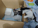 新宠之康 宠物羊奶粉400g狗狗猫咪成幼犬猫泰迪金毛羊奶粉营养补充 实拍图