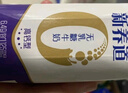蒙牛【新鲜日期】新养道无乳糖高钙型牛奶200ml*24盒 送礼盒装 实拍图