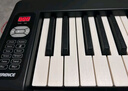 特伦斯电子琴88键成人儿童智能折叠钢琴X61A/V20手卷钢琴键盘乐器 61键折叠琴【无琴包】 实拍图