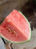 现摘现发2k西瓜当季手剥薄皮小糖丸西瓜新鲜水果冰糖子小西瓜 2-3斤（精品果） 实拍图