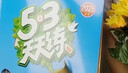 2025秋季53天天练小学英语六年级上册YL译林版五三天天练5 3天天练5.3天天练5·3天天练学霸培优学霸提优 实拍图