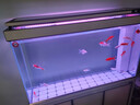森森（SUNSUN）大型鱼缸底过滤水族箱客厅家用落地玻璃生态金鱼缸 超白款升级底滤 1.2米长35cm宽（黑白可选） 实拍图